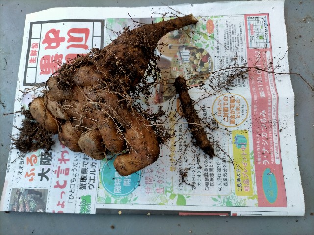 f:id:takiko2:20211122113047j:image