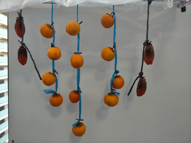 f:id:takiko2:20211125102710j:image
