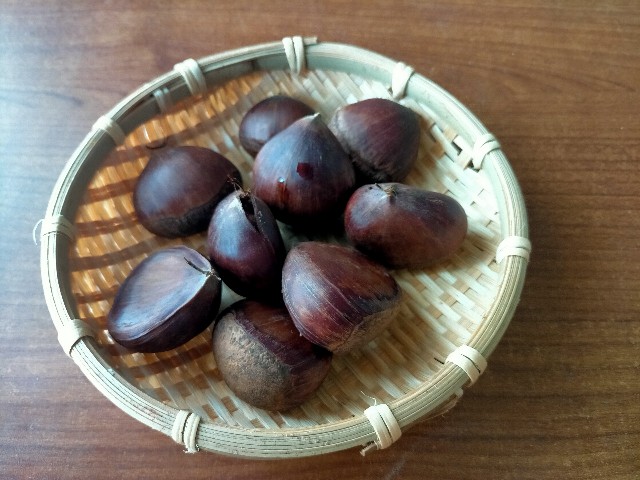 f:id:takiko2:20211125103156j:image