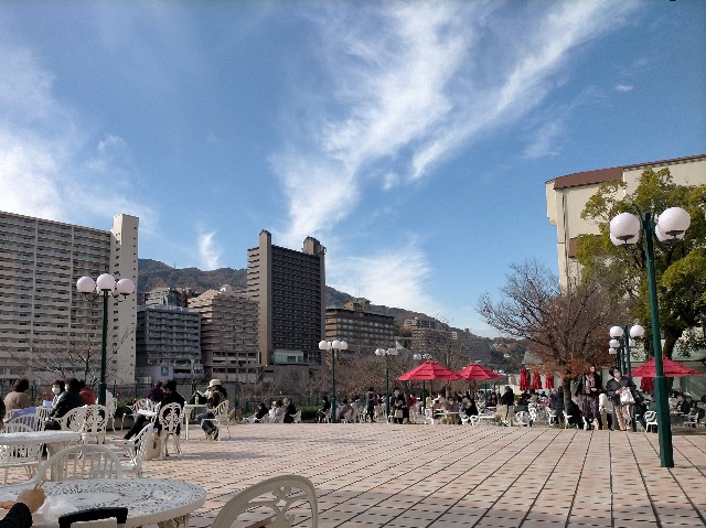 f:id:takiko2:20211213091337j:image f:id:takiko2:20211213091337j:image