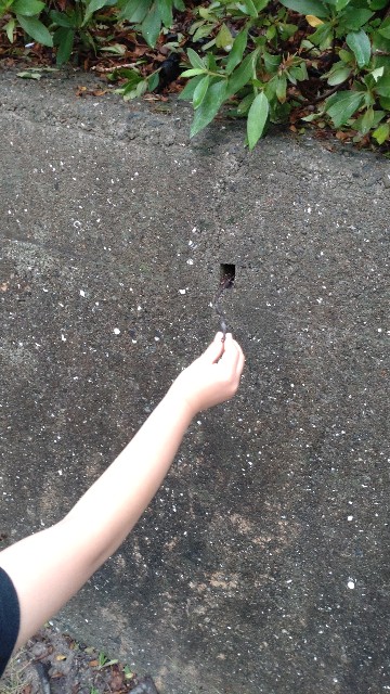 f:id:takion0622:20230609092327j:image