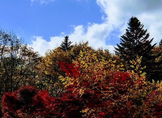 f:id:takisanyattane:20201113111123j:image f:id:takisanyattane:20201113111123j:image