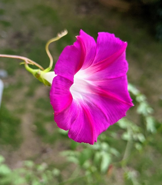 f:id:takisanyattane:20210219200621j:image f:id:takisanyattane:20210219200621j:image