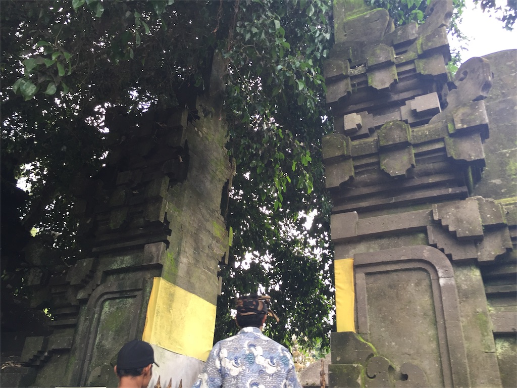 f:id:takitatenogohan:20160508133651j:image f:id:takitatenogohan:20160508133651j:image