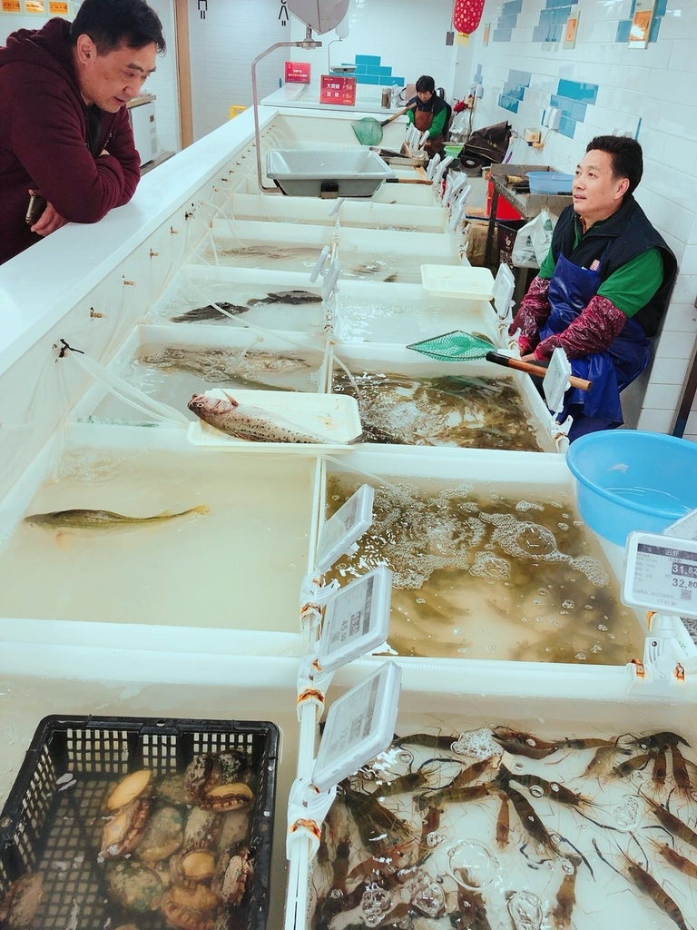 f:id:takiyori:20190121215303j:plain f:id:takiyori:20190121215303j:plain