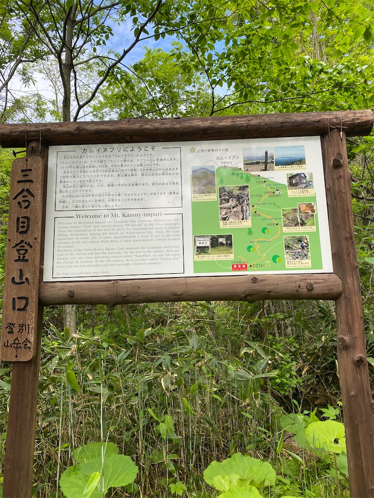 f:id:takka19:20200606185845j:image