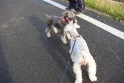 f:id:takkenm3:20070519062115j:image:left