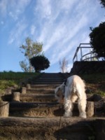 f:id:takkenm3:20081011070437j:image:left