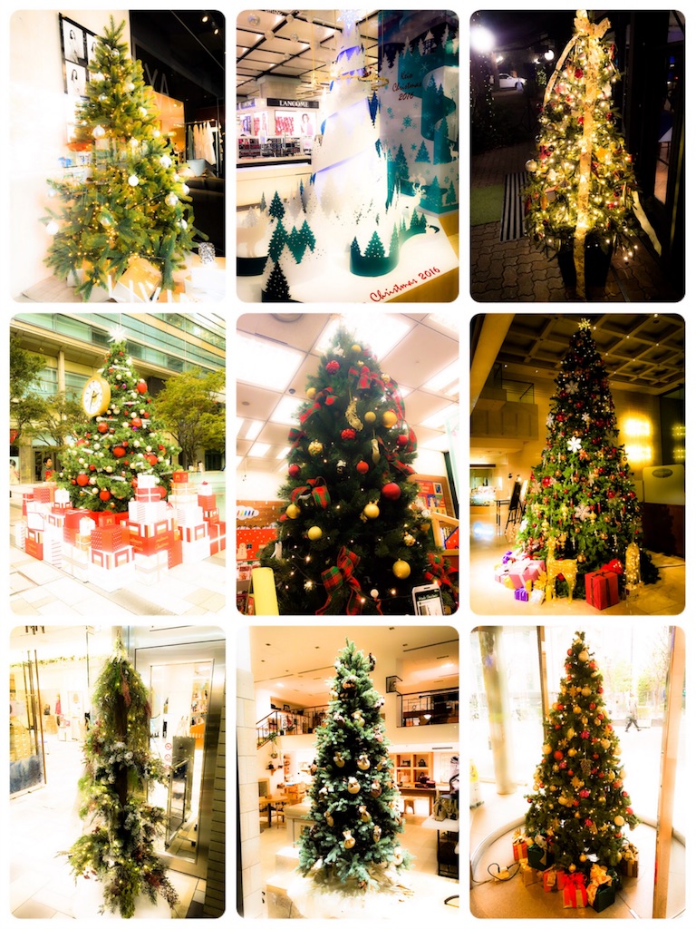 f:id:takki_bear:20161227211011j:image