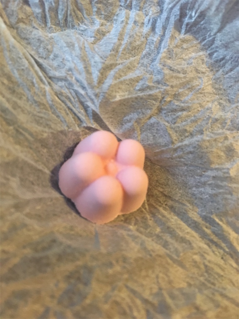 f:id:takki_bear:20180417230913j:image f:id:takki_bear:20180417230913j:image