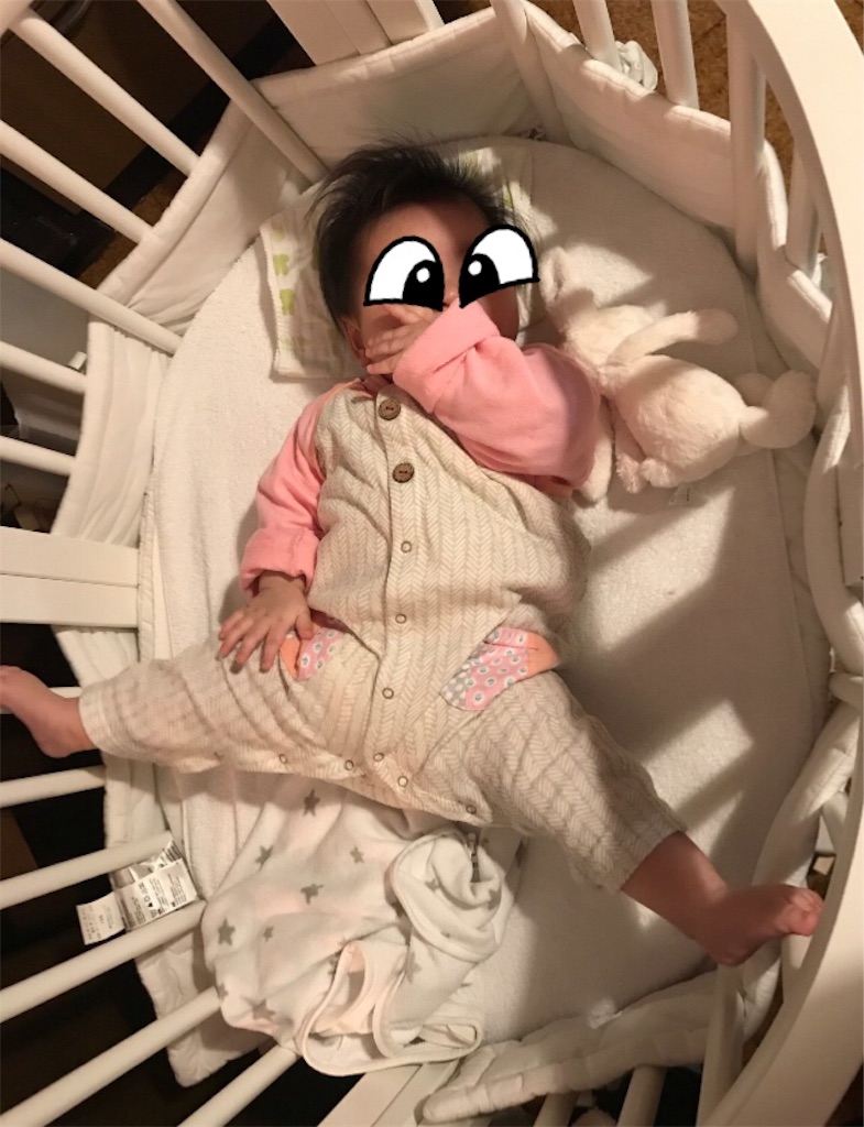 f:id:takki_bear:20190205104658j:image f:id:takki_bear:20190205104658j:image