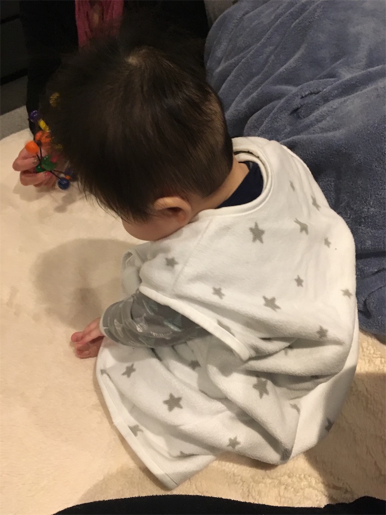f:id:takki_bear:20190205105240j:image f:id:takki_bear:20190205105240j:image