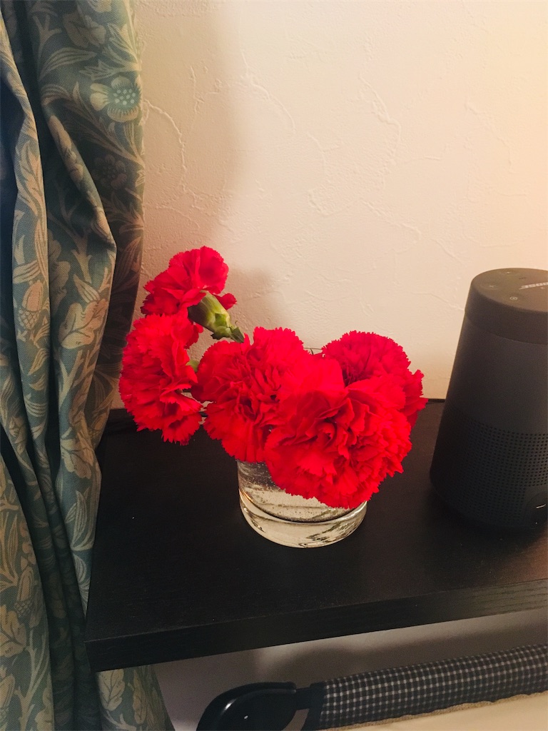 f:id:takki_bear:20190514063320j:image