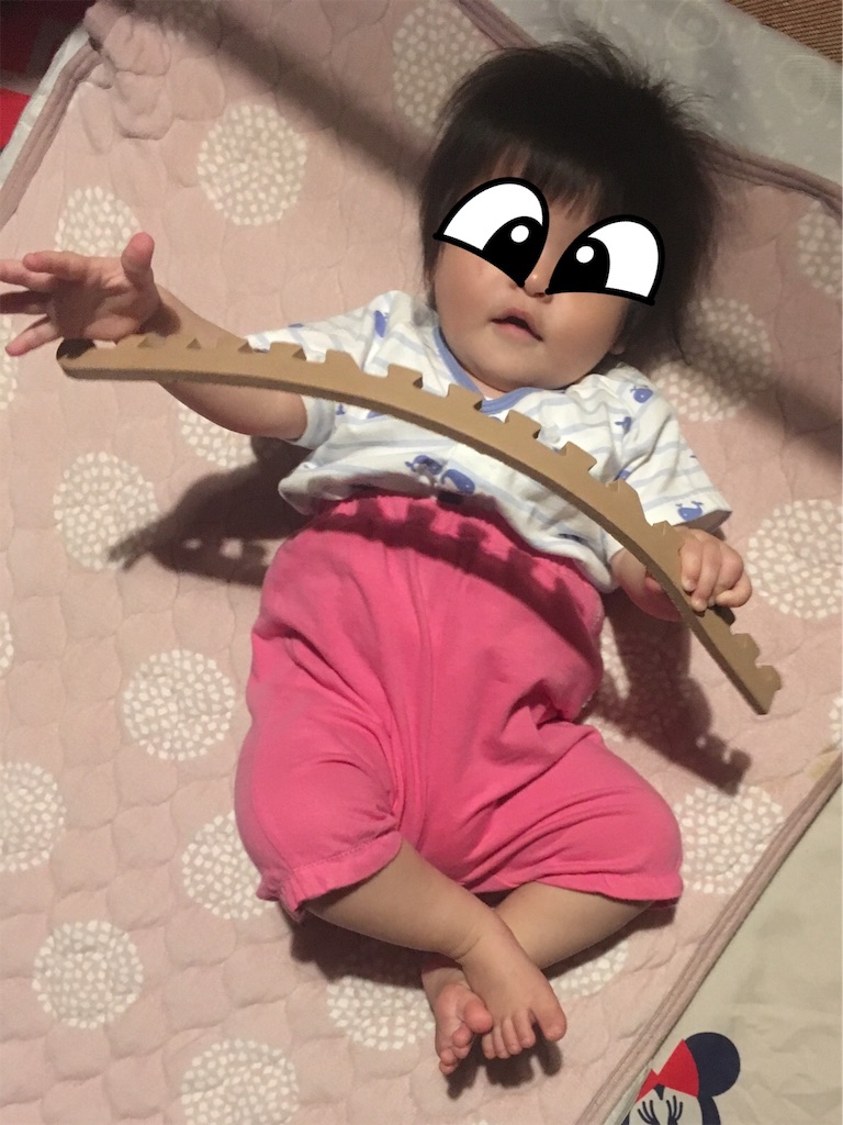 f:id:takki_bear:20190531090845j:image