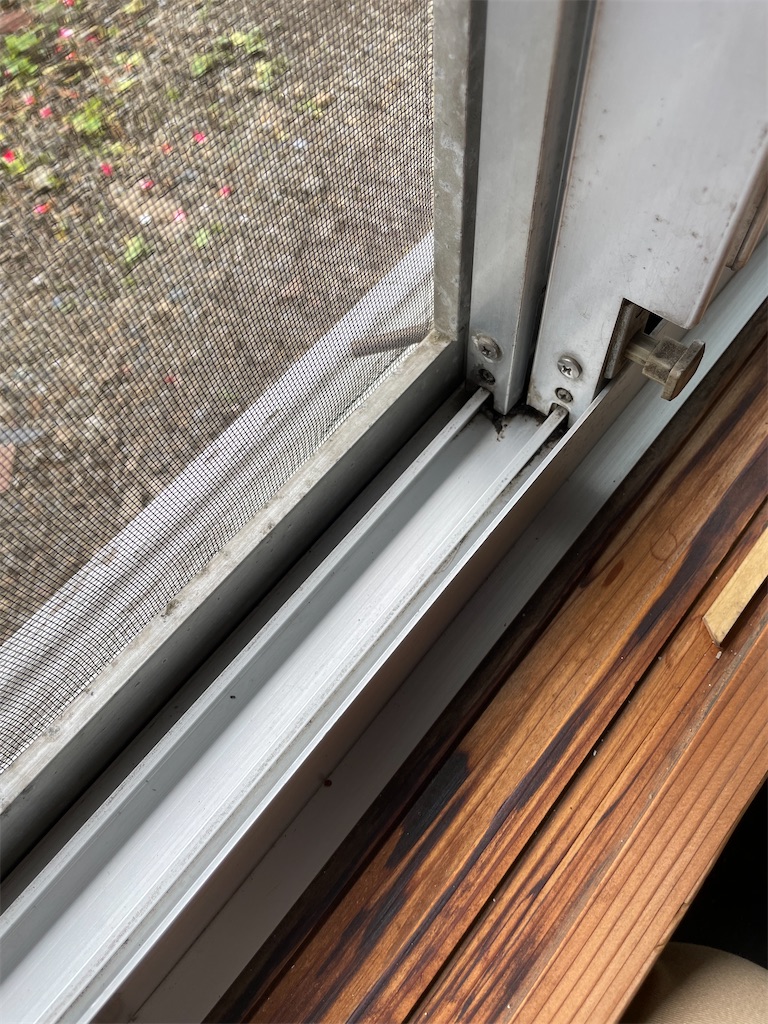 f:id:takki_bear:20210706214830j:image