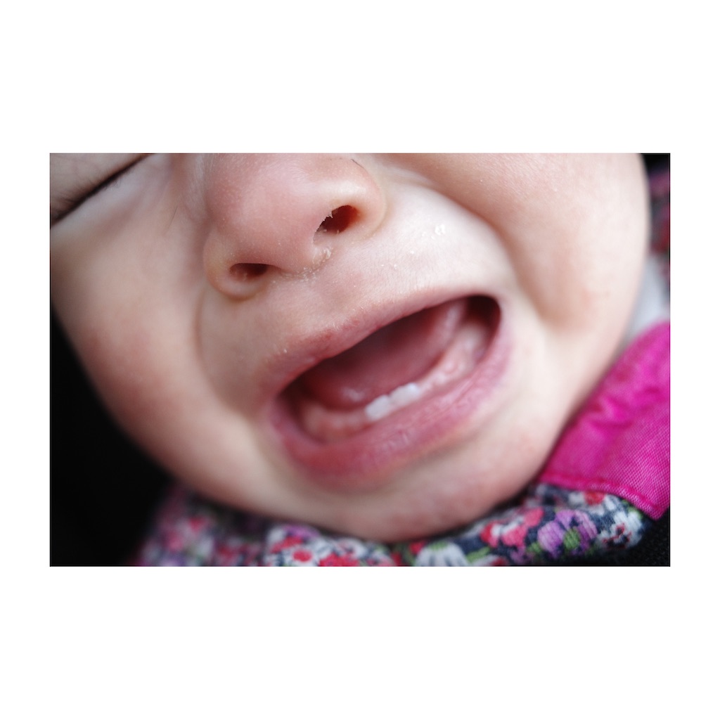 f:id:takki_bear:20211212030459j:image