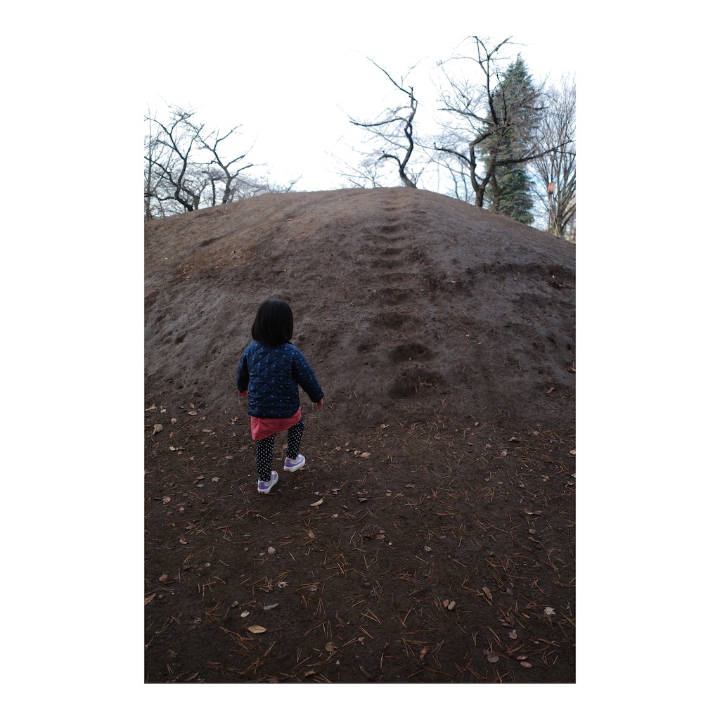 f:id:takki_bear:20211213153621j:image