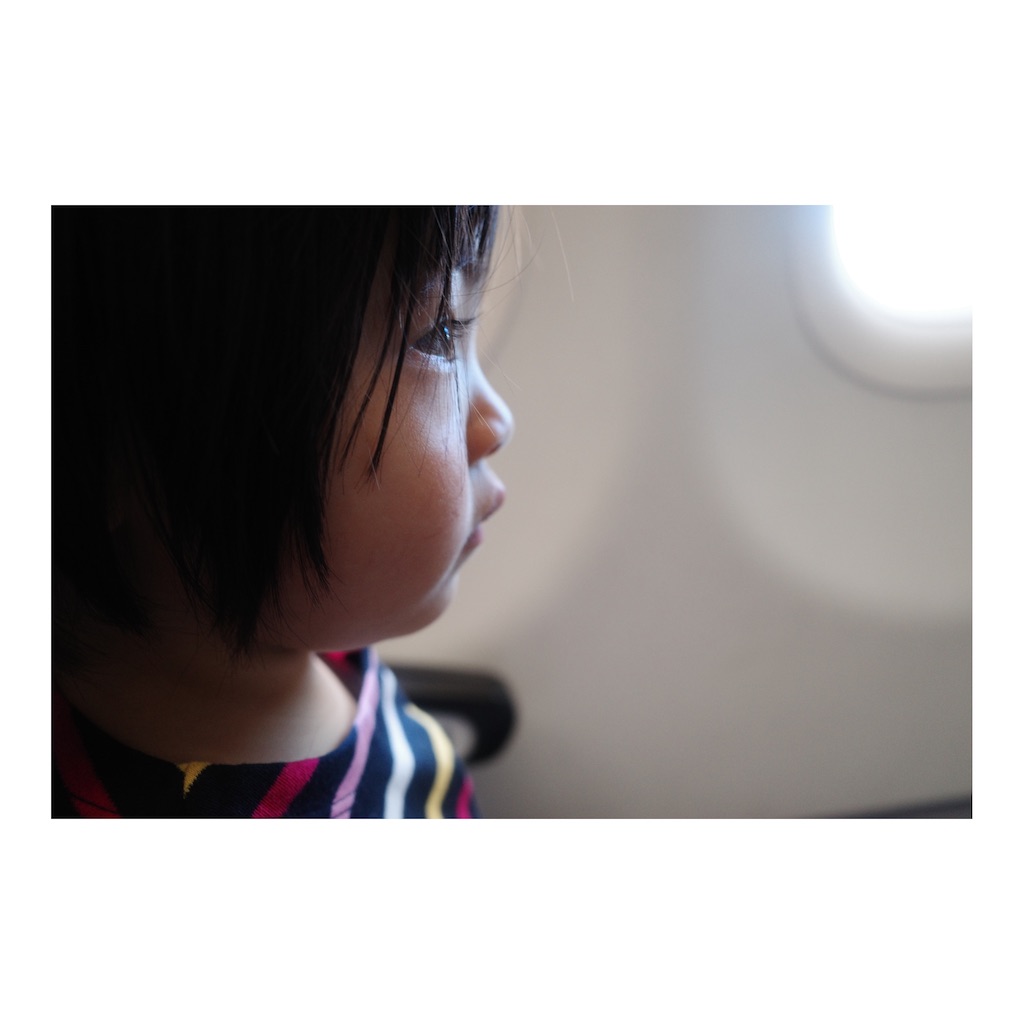 f:id:takki_bear:20220121220143j:image f:id:takki_bear:20220121220143j:image