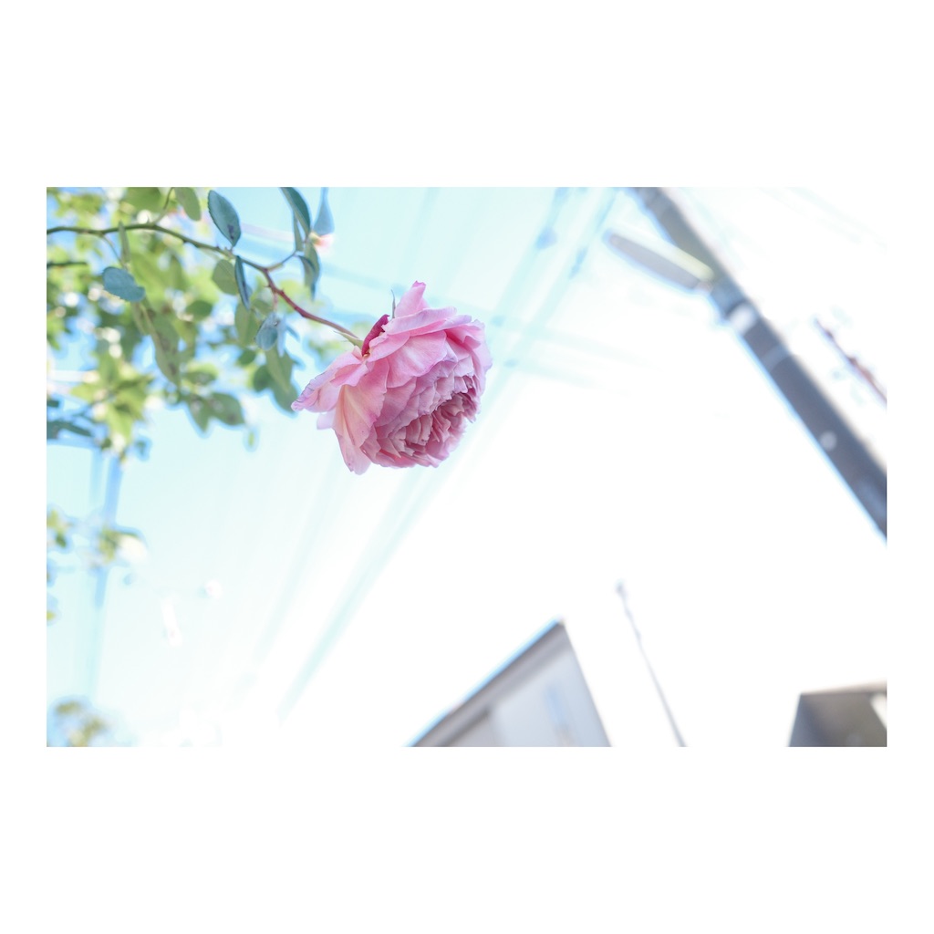 f:id:takki_bear:20220121220409j:image f:id:takki_bear:20220121220409j:image