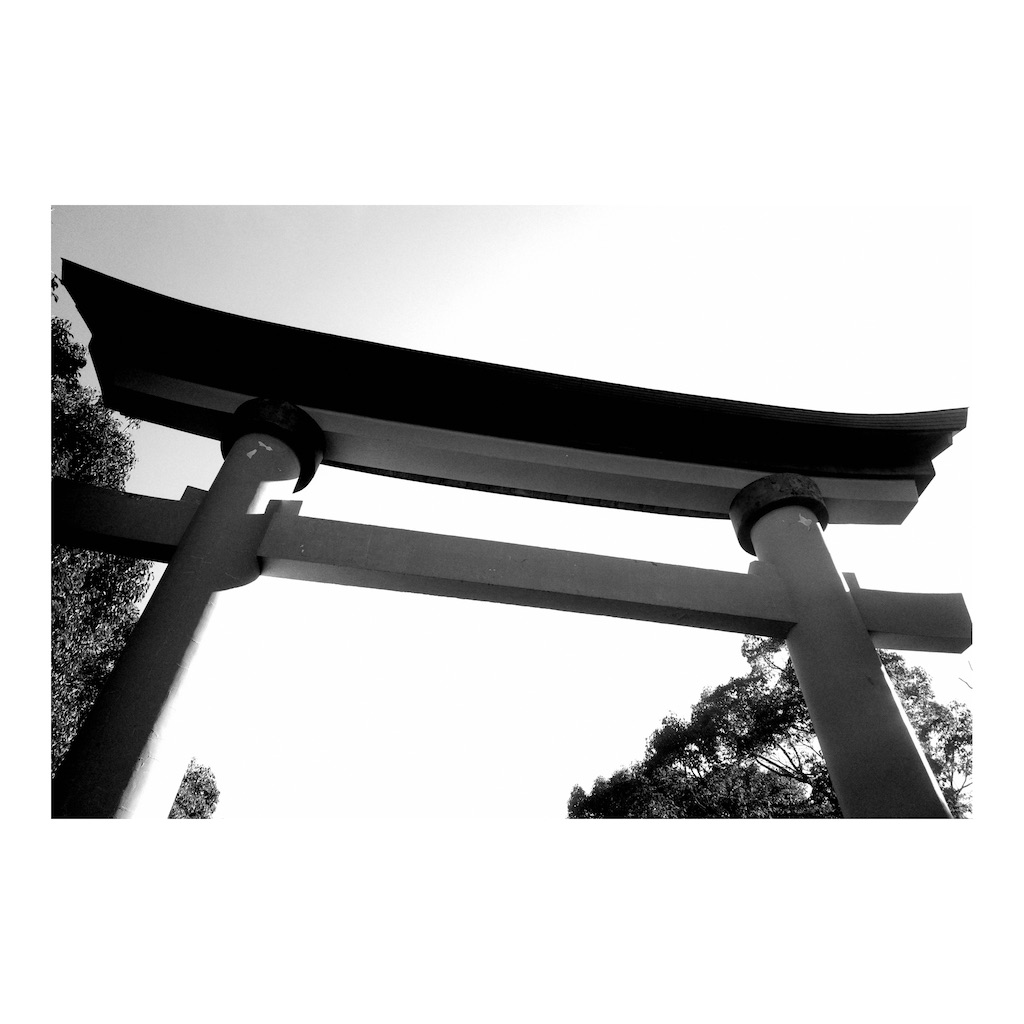 f:id:takki_bear:20220121220417j:image f:id:takki_bear:20220121220417j:image