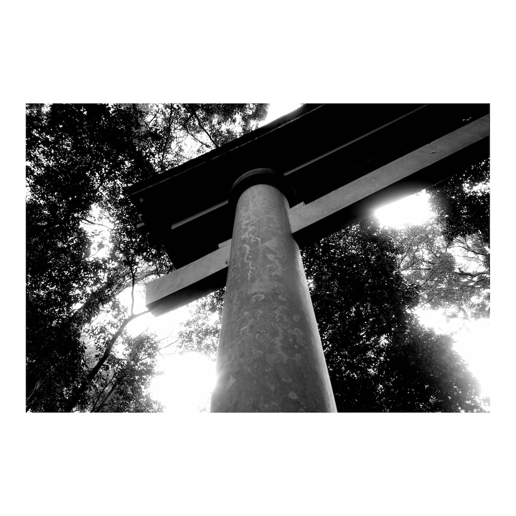 f:id:takki_bear:20220121220515j:image f:id:takki_bear:20220121220515j:image