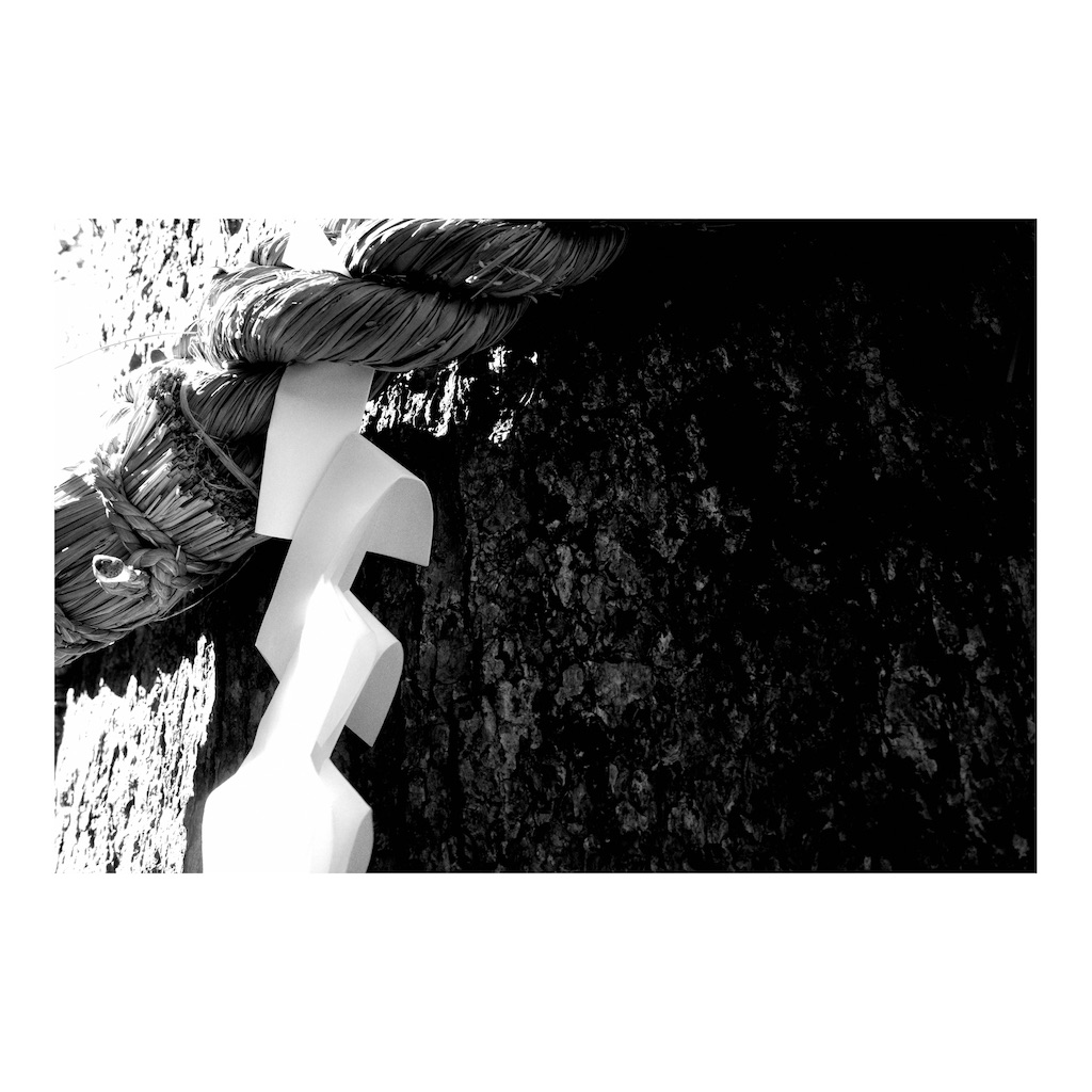 f:id:takki_bear:20220121220518j:image f:id:takki_bear:20220121220518j:image