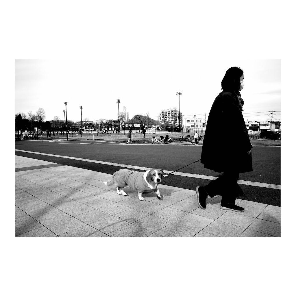 f:id:takki_bear:20220121220545j:image f:id:takki_bear:20220121220545j:image