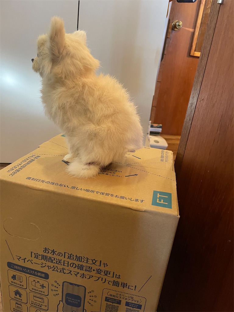 f:id:takki_bear:20220221093350j:image