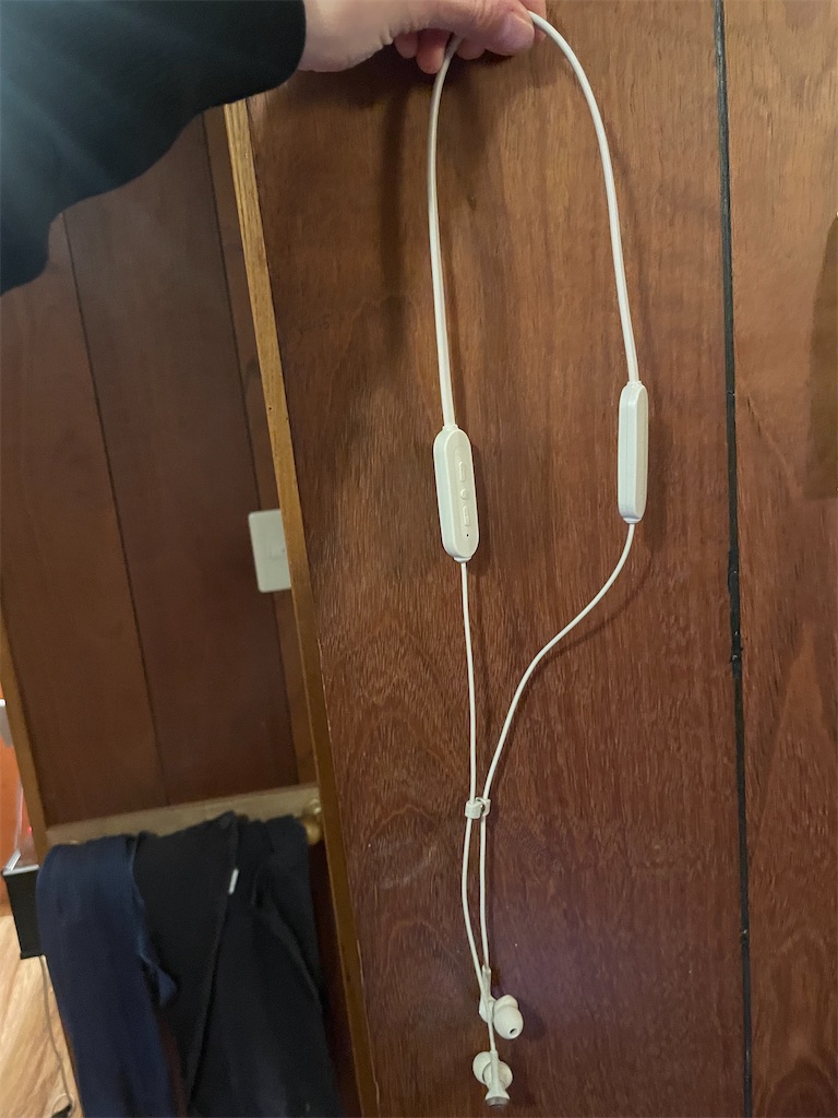 f:id:takki_bear:20240119054724j:image