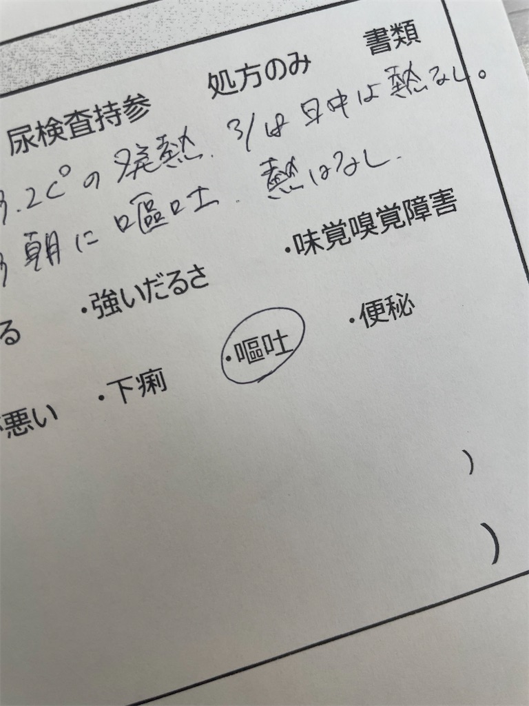 f:id:takki_bear:20240416065656j:image