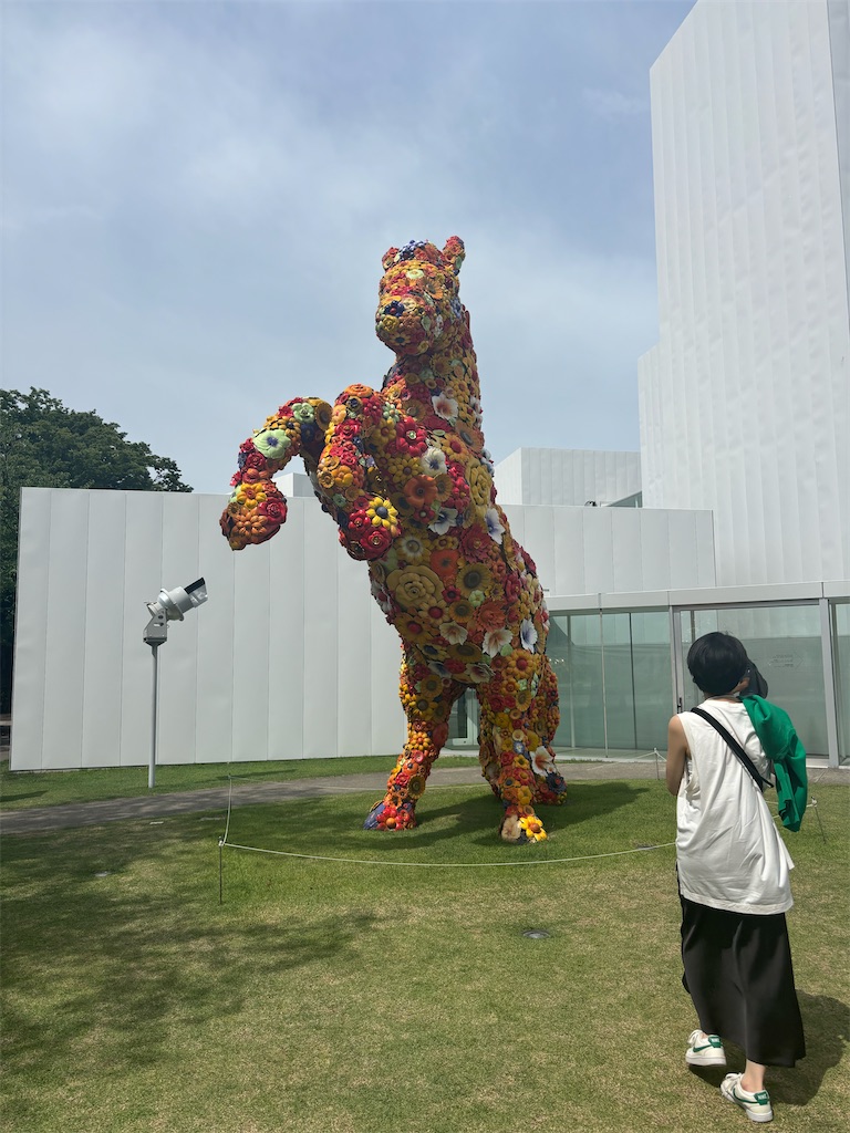 f:id:takki_bear:20240630144719j:image