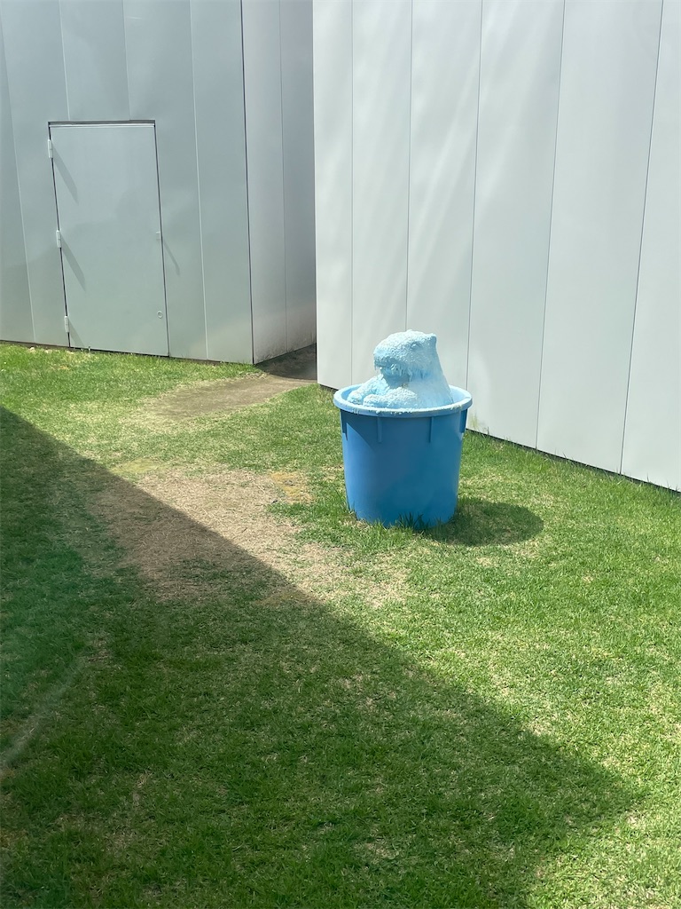 f:id:takki_bear:20240630144814j:image