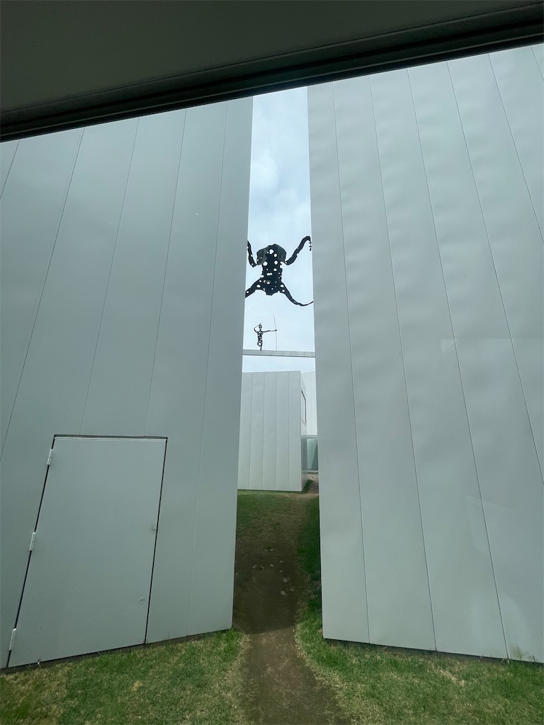 f:id:takki_bear:20240630144823j:image