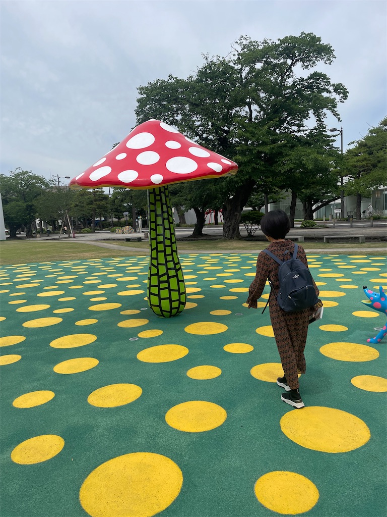 f:id:takki_bear:20240630144836j:image