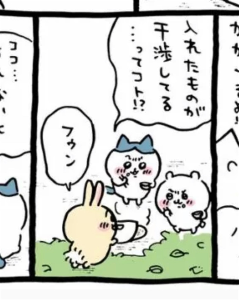 f:id:takki_bear:20250104073344j:image