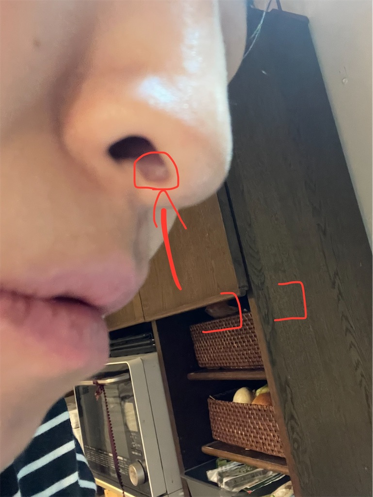 f:id:takki_bear:20250206174548j:image