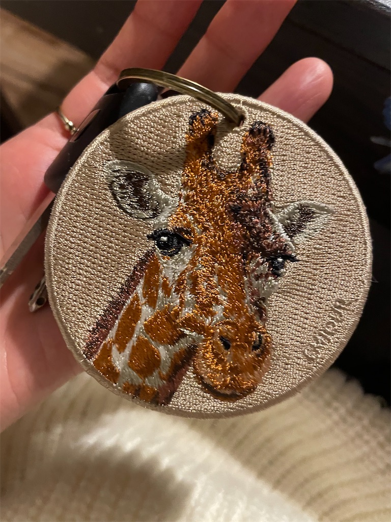 f:id:takki_bear:20250206183203j:image