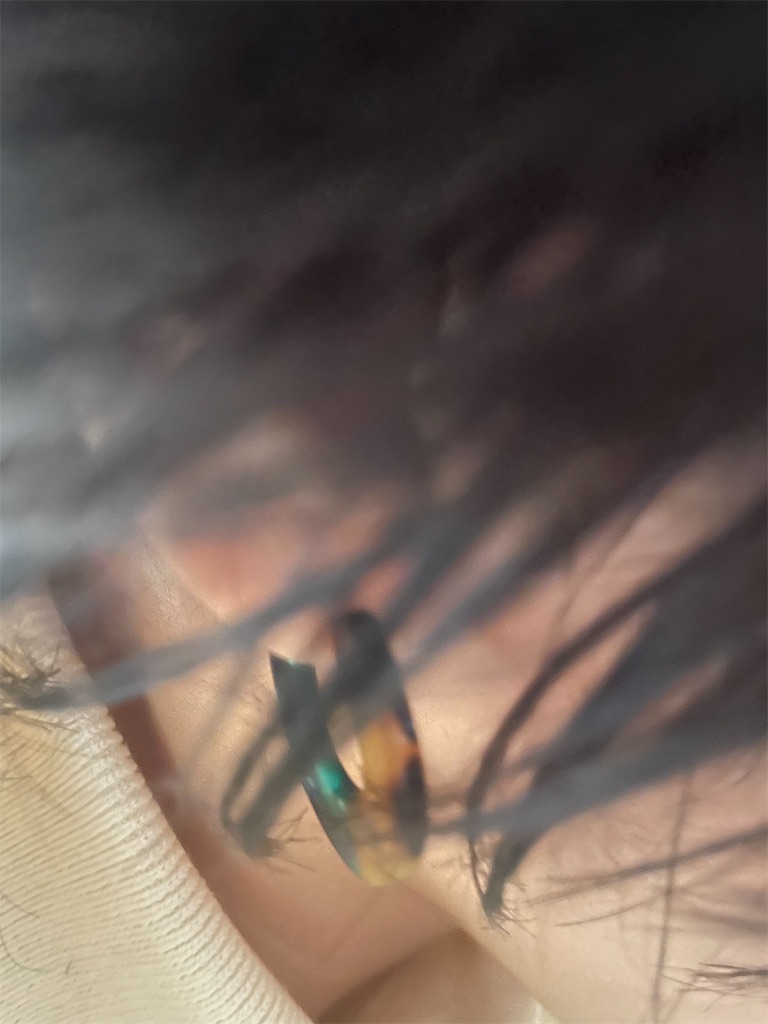 f:id:takki_bear:20250307070045j:image