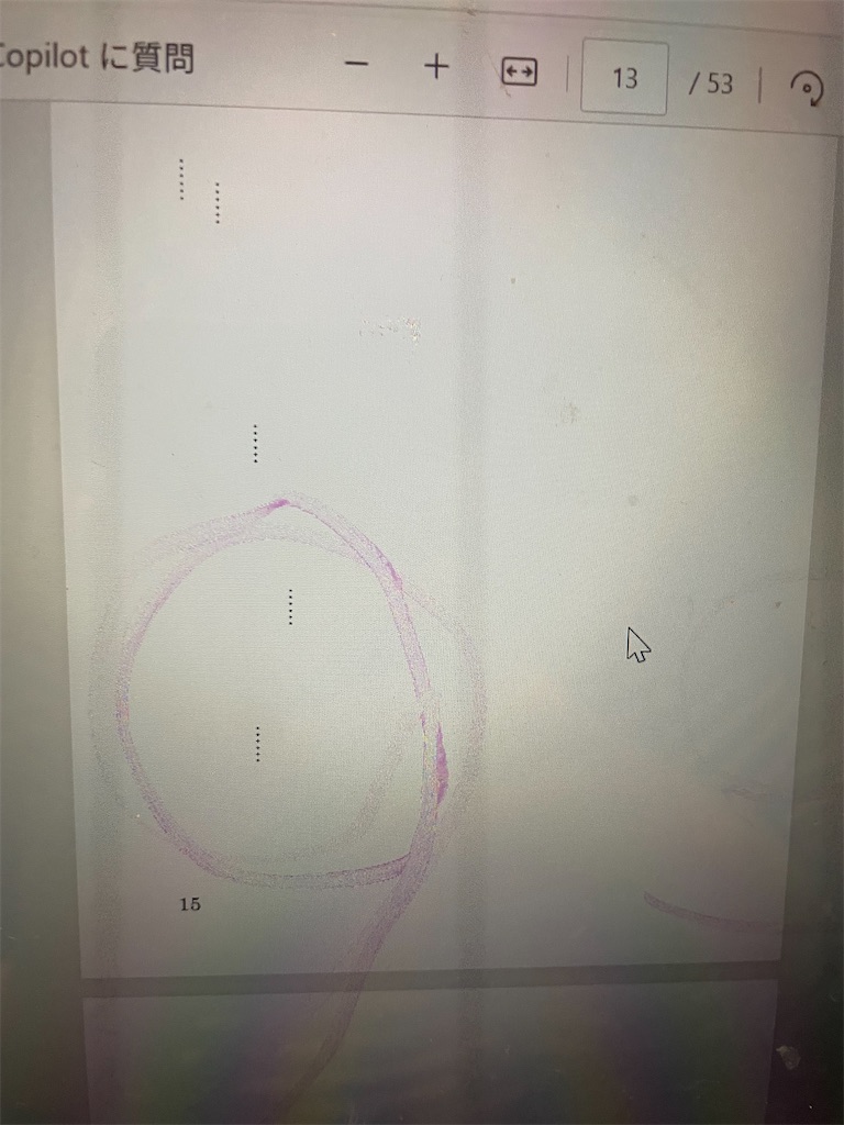 f:id:takki_bear:20250919072157j:image f:id:takki_bear:20250919072157j:image