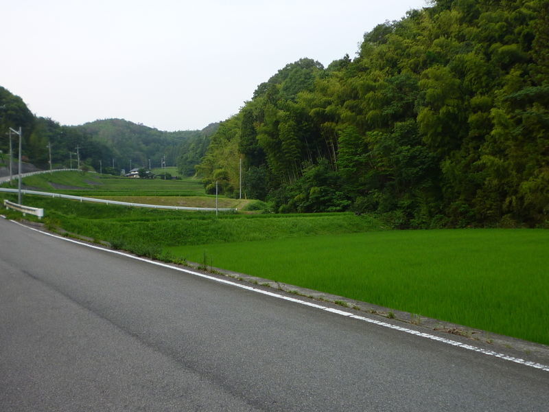 山間の田んぼ沿いの道路