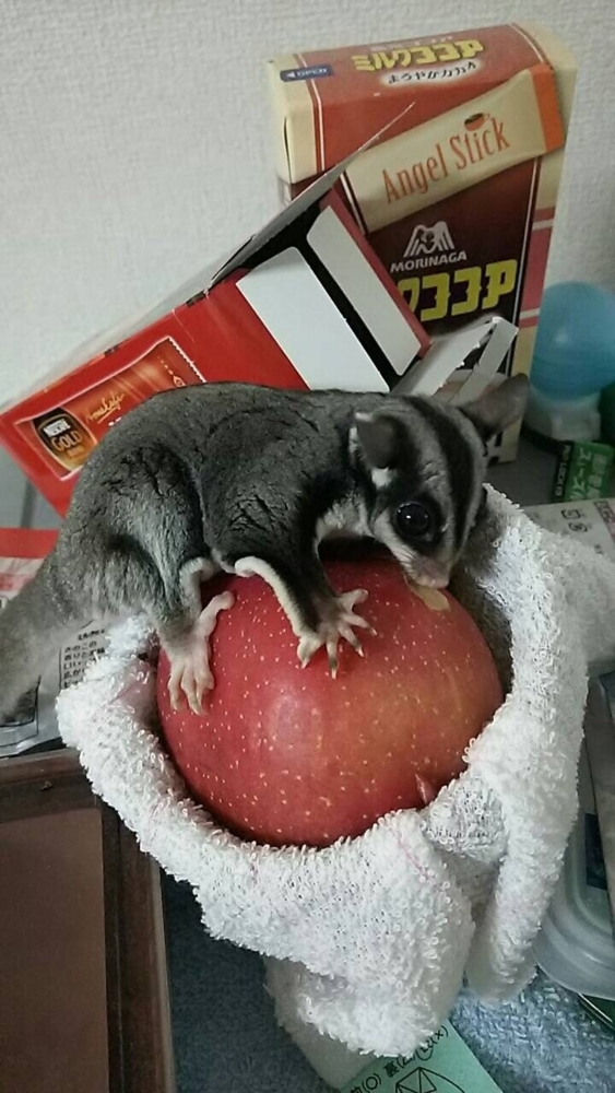 f:id:takkiy87:20180730225630j:plain