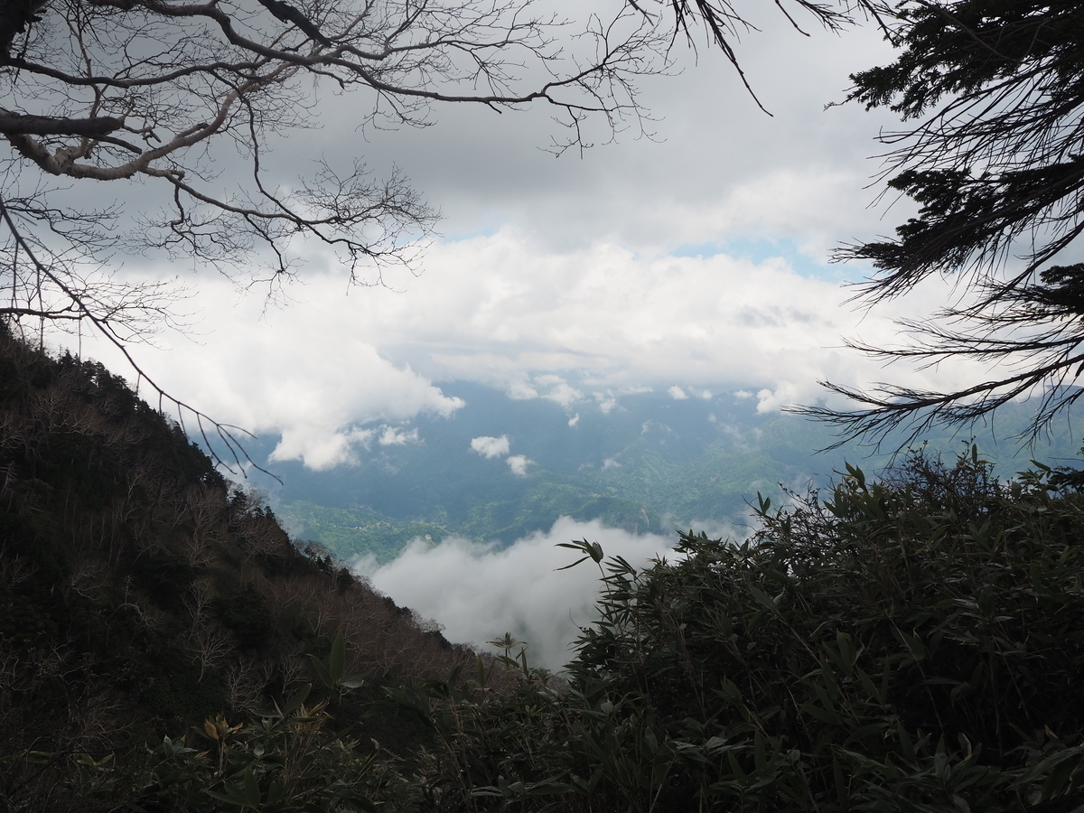 f:id:takkudon:20210605192008j:plain