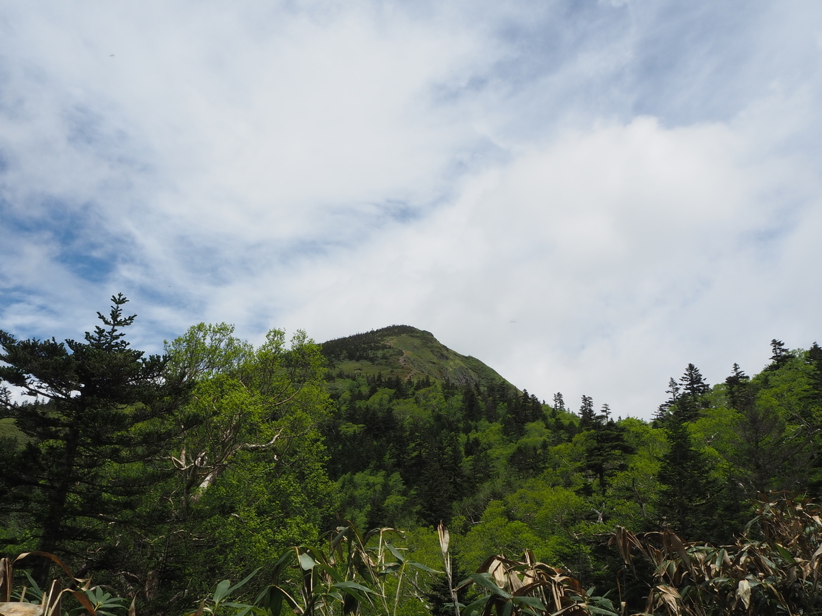 f:id:takkudon:20210626220803j:plain