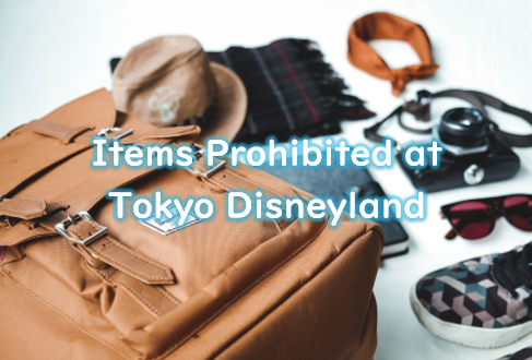 Items Prohibited at Tokyo Disneyland