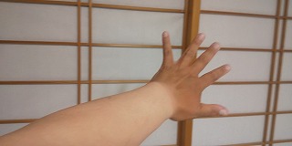 f:id:takkypapa:20210529210649j:plain