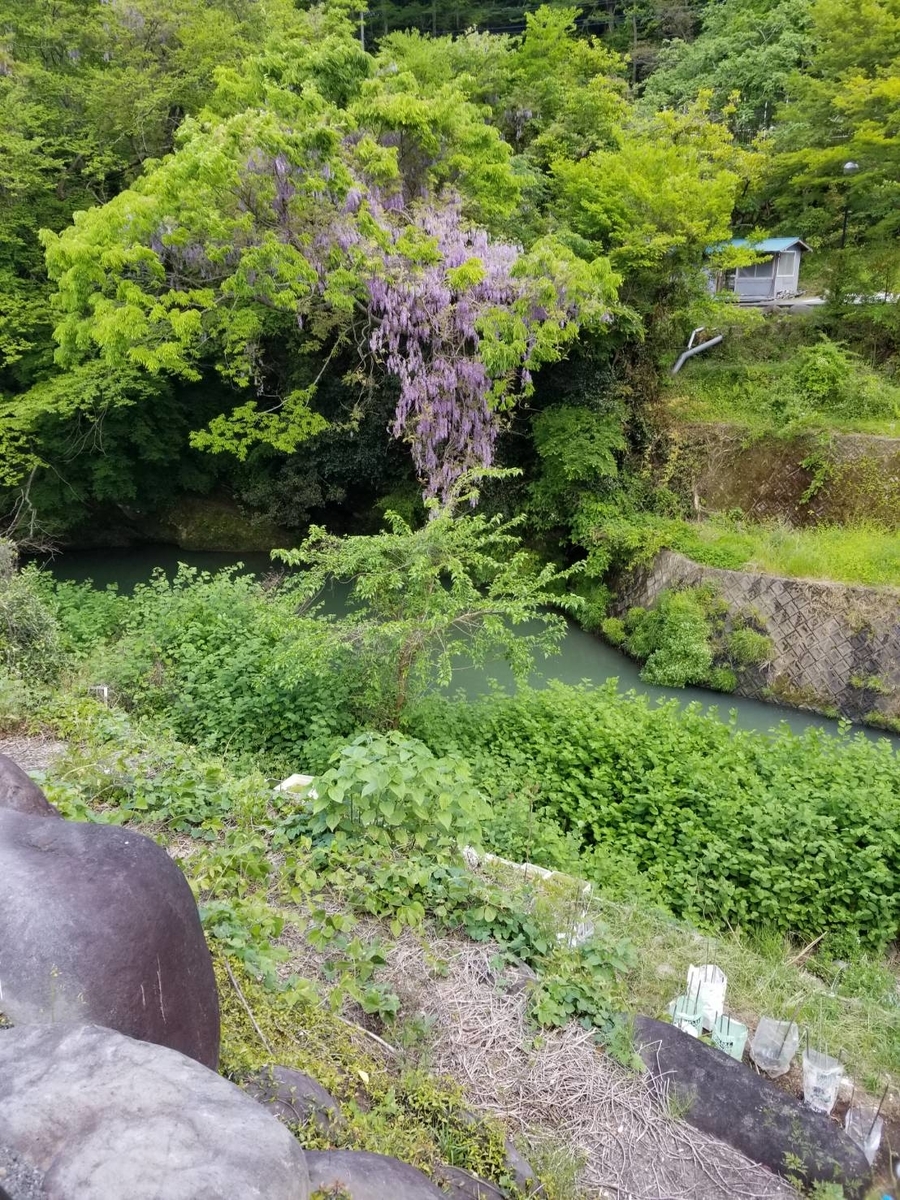 f:id:takmoratorium:20190721235735j:plain f:id:takmoratorium:20190721235735j:plain