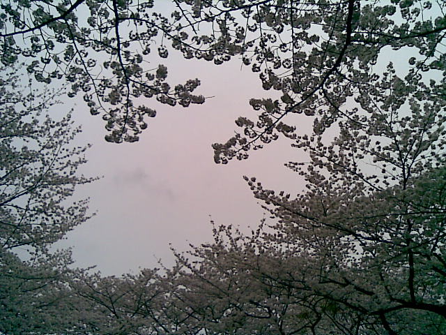 20080402002200