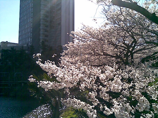 20080402002244