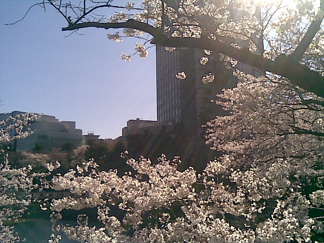 20080402002252