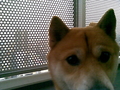 20080525225813